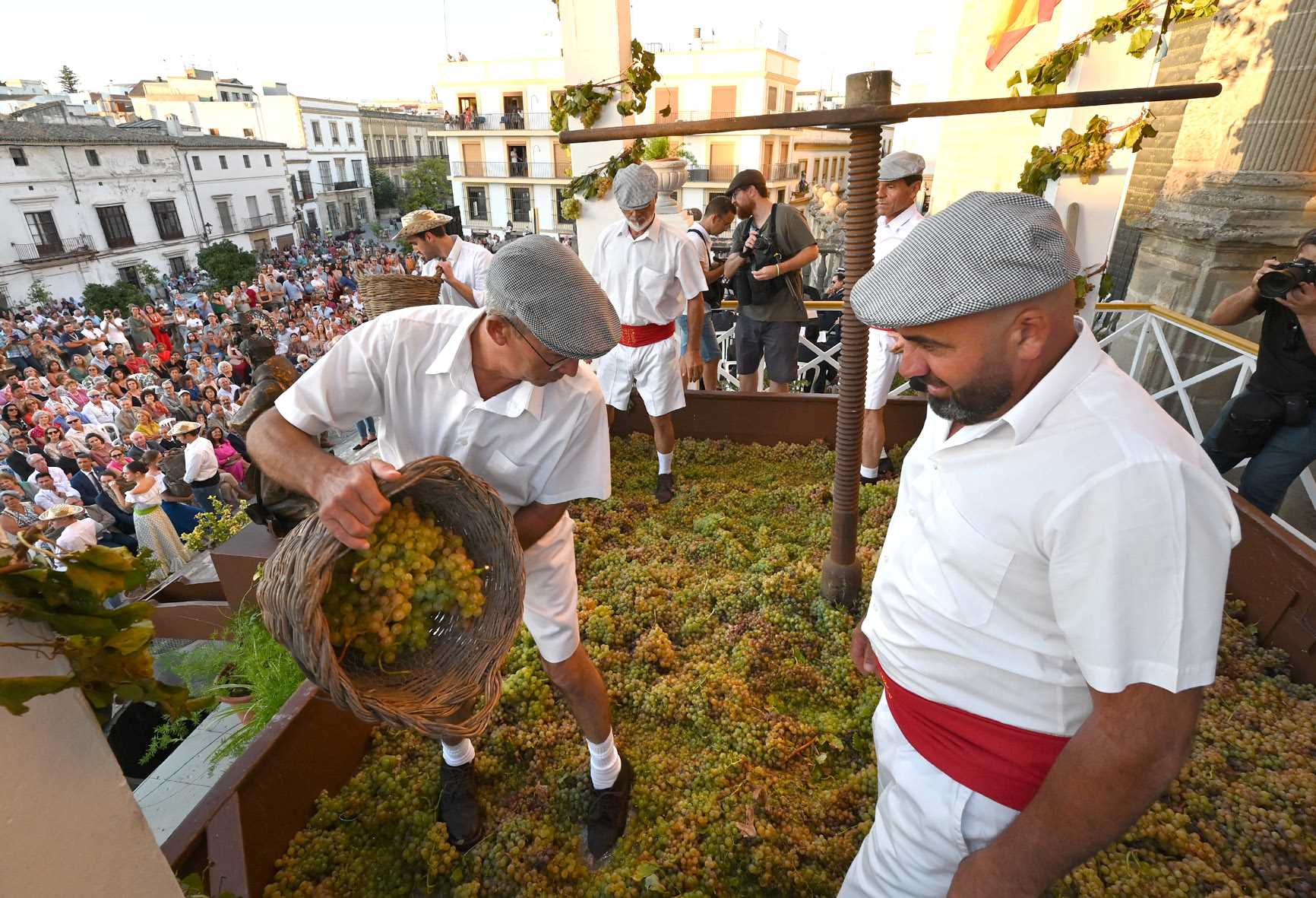 La pisa de la uva en Jerez