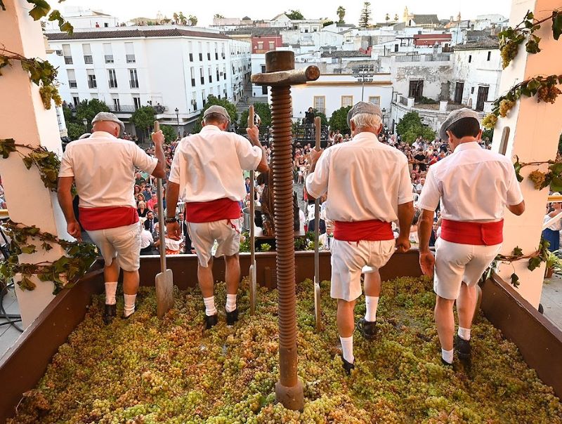 La pisa de la uva en Jerez