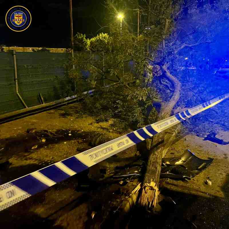 contra un árbol