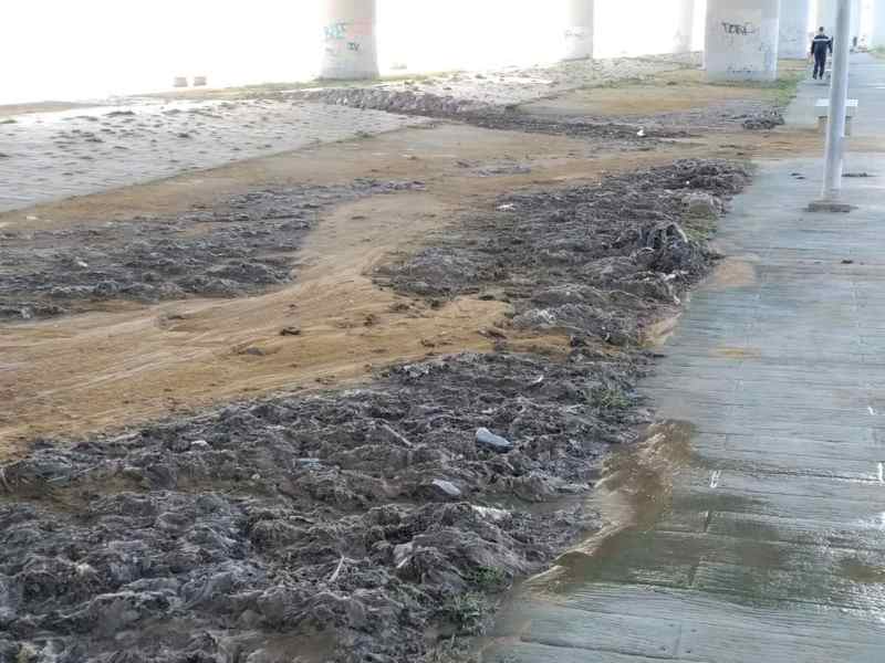 ¡Basta de toallitas en el mar! Ecologistas muestran cómo solucionarlo en Sanlúcar