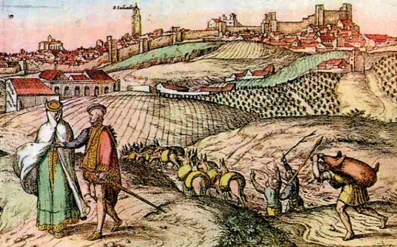 Ordenanzas del vino de Jerez de la Frontera (1483): Las primeras normas para la producción y comercio del vino