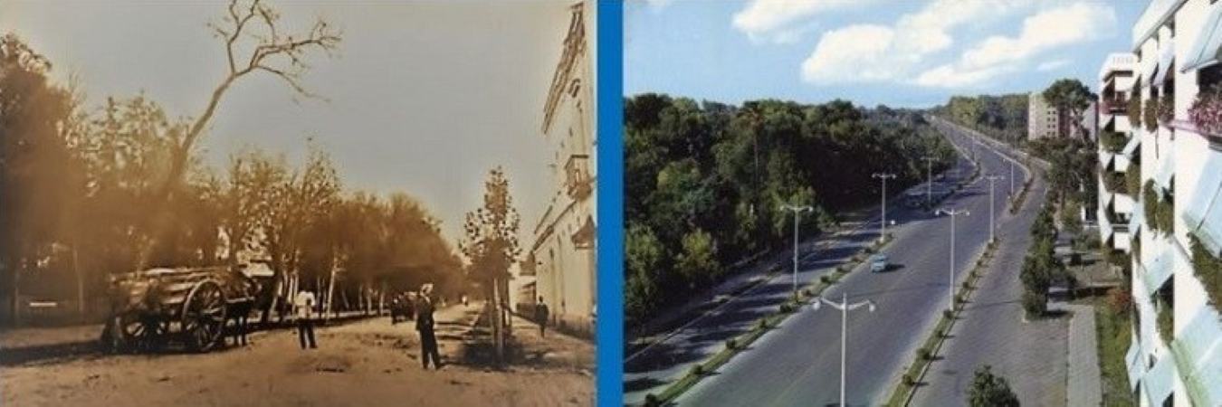 Del Paseo de Capuchinos a la Avenida Álvaro Domecq