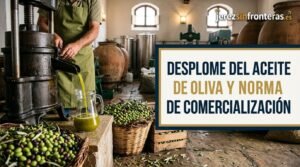 Cosecha récord y precios por los suelos: el dilema del aceite de oliva activa la retención de mercado