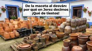De la maceta al desván: por qué en Jerez decimos ¡Qué de tiestos! ante el desorden