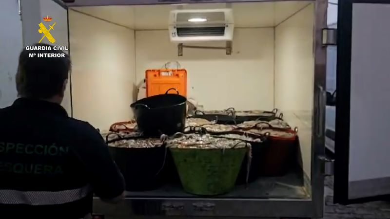 Intervenidos más de 3.200 kilos de pulpo y 200 kilos de almeja en Huelva