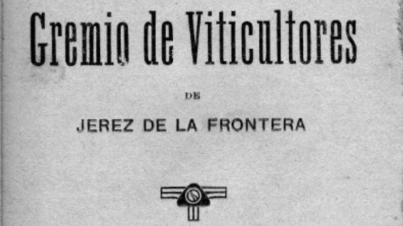 Tesoro histórico en Jerez: El Archivo Municipal guarda un reglamento centenario que refleja la importancia del vino en la historia de la ciudad y la ética que regía a sus productores. Un viaje al pasado para entender el presente