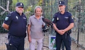 La Policía rescata un águila de Harris atada a un adoquín en Sevilla tras un aviso por violencia de género