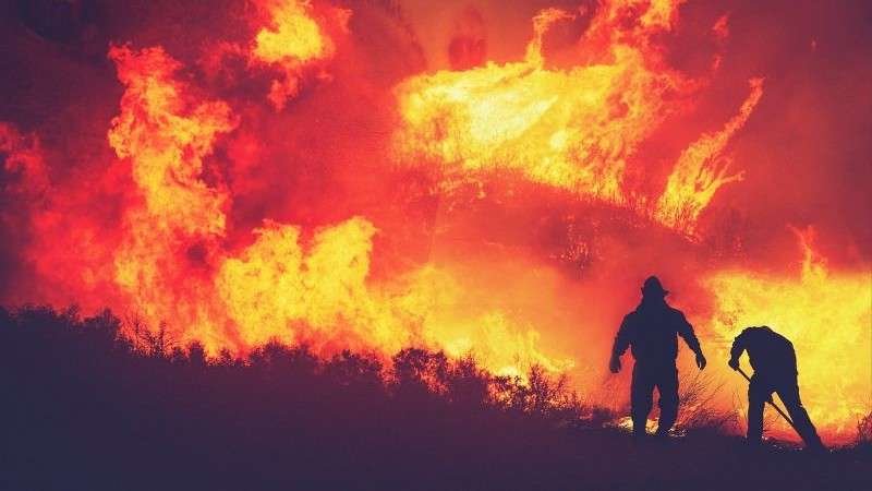 ¡Los Ángeles en llamas! El fuego arrasa y la naturaleza llora