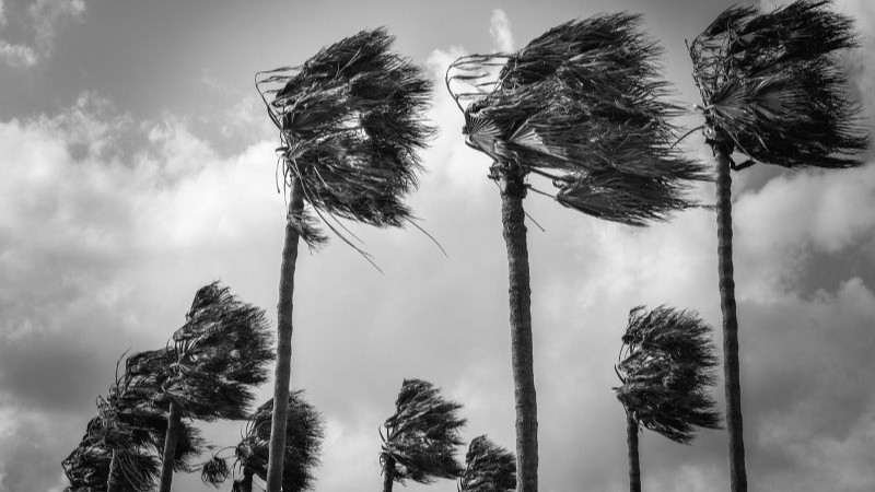 Vientos fuertes azotan Andalucía: Precaución en Jerez