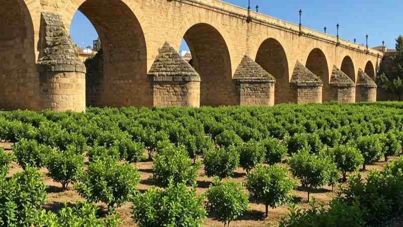 Jerez ama el planeta: Lomopardo planta árboles en la Cartuja