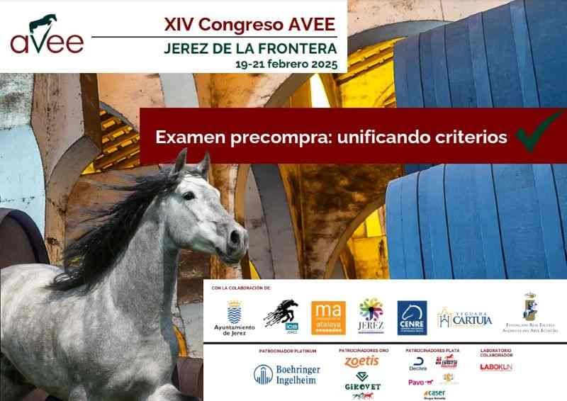 Jerez, epicentro mundial de la veterinaria equina