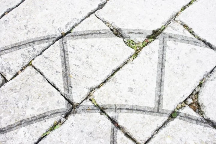 Grabado circular y líneas geométricas en el enlosado del patio de la Cartuja de Jerez.