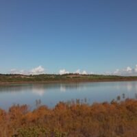 humedales