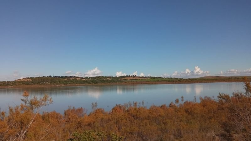 Jerez se moja por los humedales