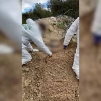 red de narco