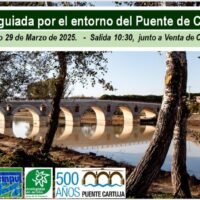 Puente de Cartuja