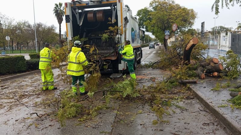 jerez temporal