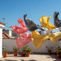 viento