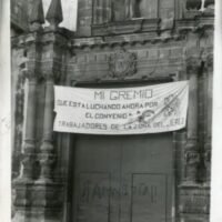 vid cervezas
