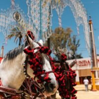 Bienestar animal Feria Caballo