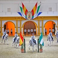 experiencia ecuestre jerezana