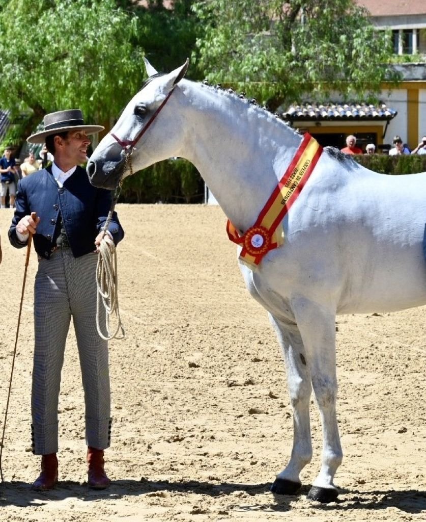 Los mejores ejemplares equinos brillan en la Feria de Jerez