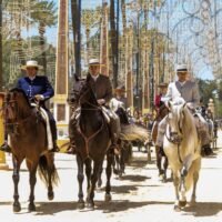 Feria del Caballo