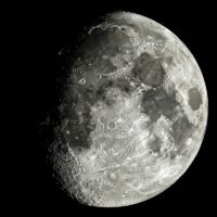 Luna de las Flores