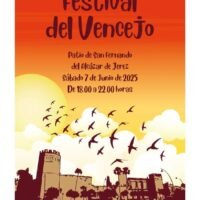 Festival del Vencejo en Jerez
