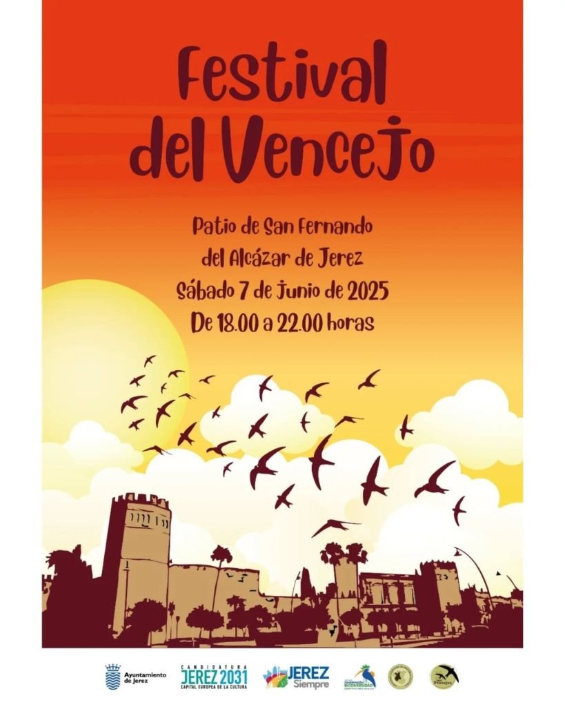 Festival del Vencejo en Jerez