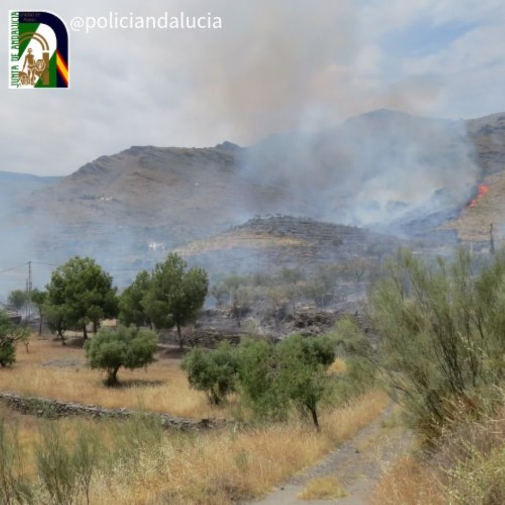 Revelada la causa de un incendio de forestal de 15 hectáreas