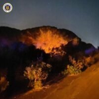 el incendio forestal de Puerto Real