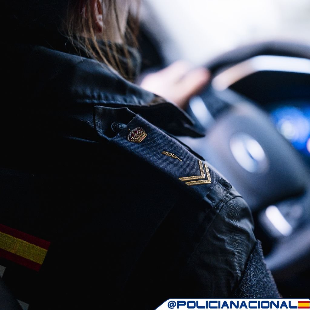 Desarticulada red de fraudes en la Seguridad Social