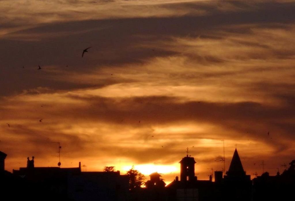 Jerez: Una ciudad de ensueño