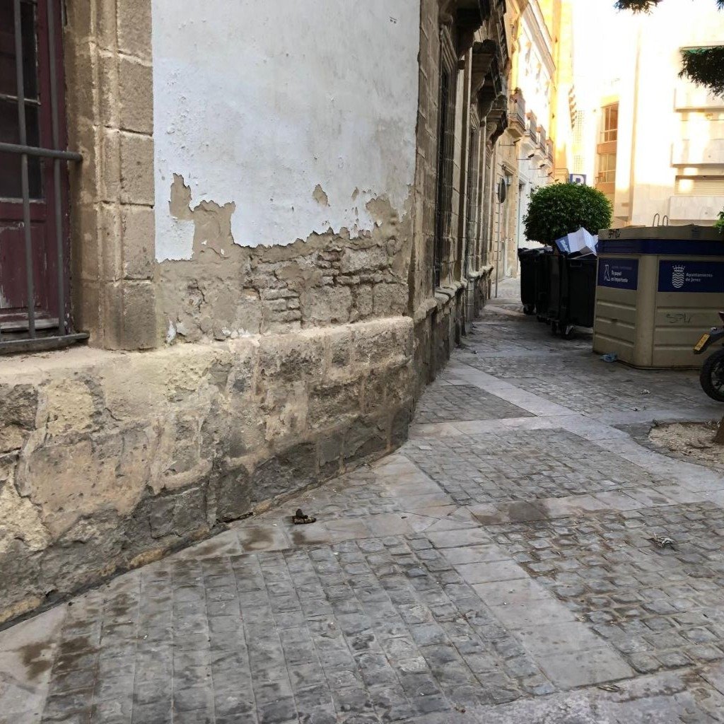 multas por no recoger las cacas de tu perro en Jerez