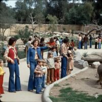 Zoobotánico Jerez NO-DO 1970
