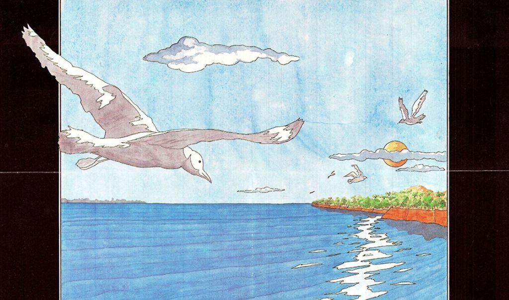 Archivo Histórico Cádiz ecologismo