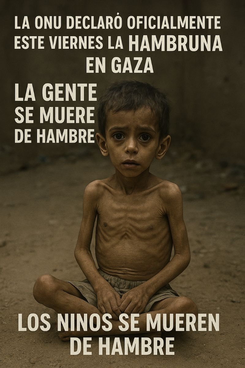 Opinión | La ONU declaró oficialmente este viernes la hambruna en Gaza. La gente se muere de hambre. Los niños se mueren de hambre