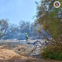 incendio Montecastillo
