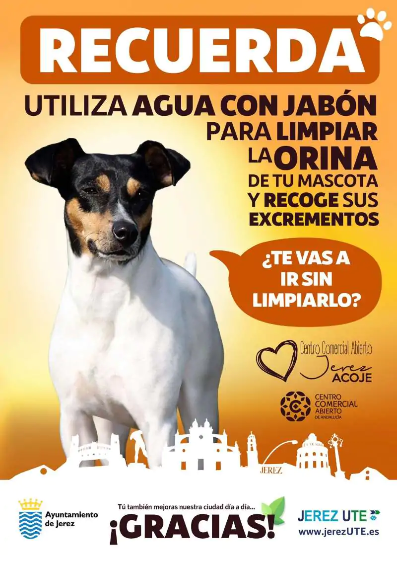 Jerez perros