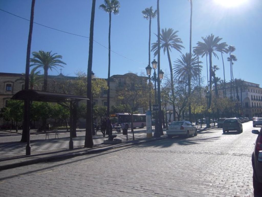 palmeras en Jerez