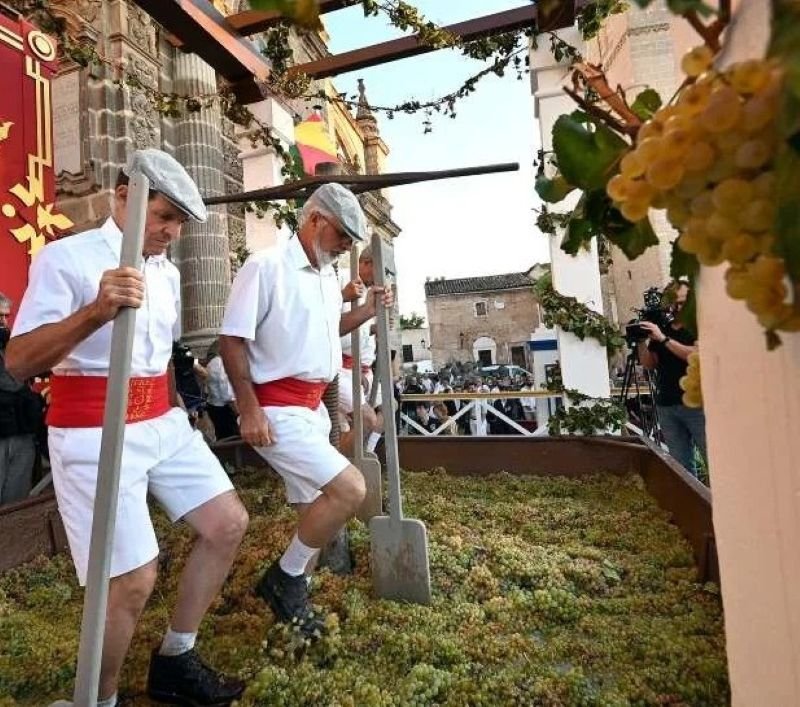 Jerez se engalana para la tradición más esperada: la Pisa de la Uva 2025