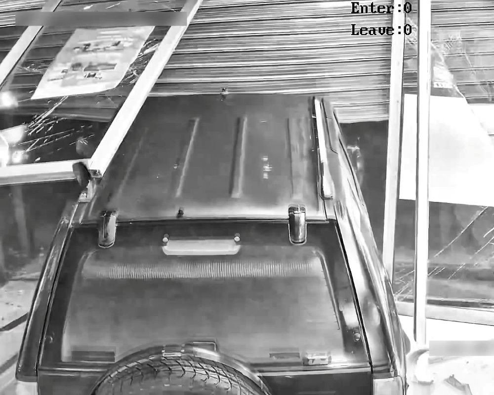 desarticulada banda criminal Borja
