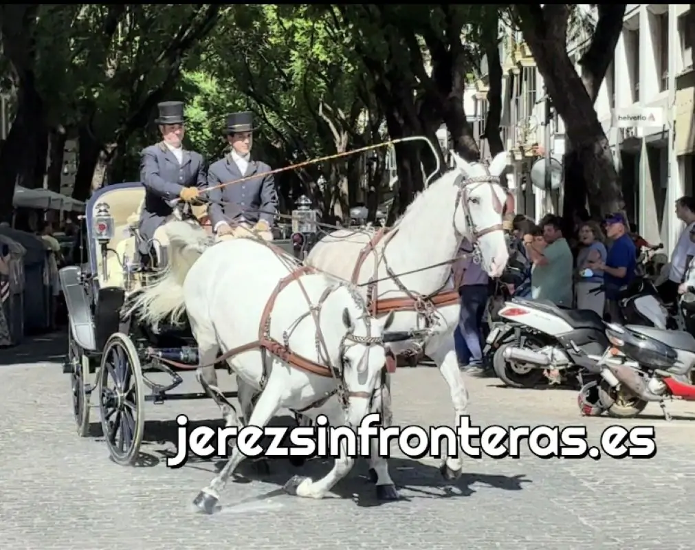 El vídeo del caballo que resbala en una Parada Hípica en Jerez se vuelve viral y pone en vilo a las redes sociales, pero el susto acaba en alivio