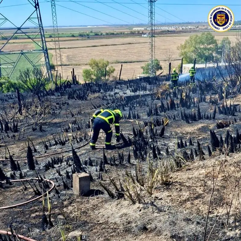 Un gran despliegue de bomberos y fuerzas de seguridad controla un incendio de 5.000 metros en Jerez