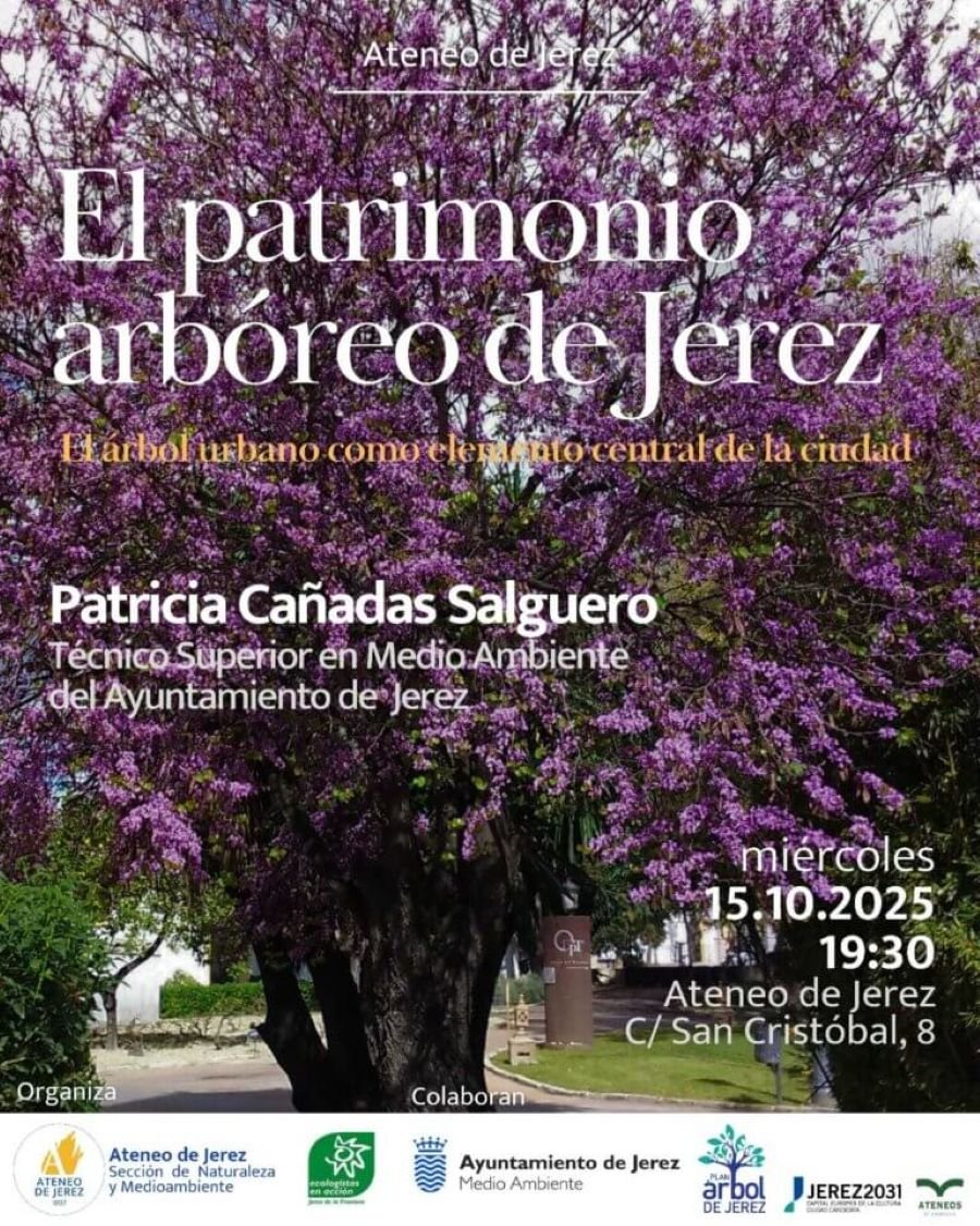 ¡Alerta Verde en Jerez! El ‘tesoro invisible’ de la ciudad a debate: Descubre el futuro del Patrimonio Arbóreo de Jerez