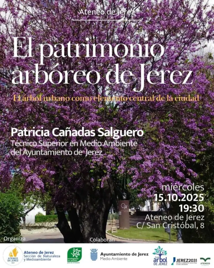 ¡Alerta Verde en Jerez! El ‘tesoro invisible’ de la ciudad a debate: Descubre el futuro del Patrimonio Arbóreo de Jerez