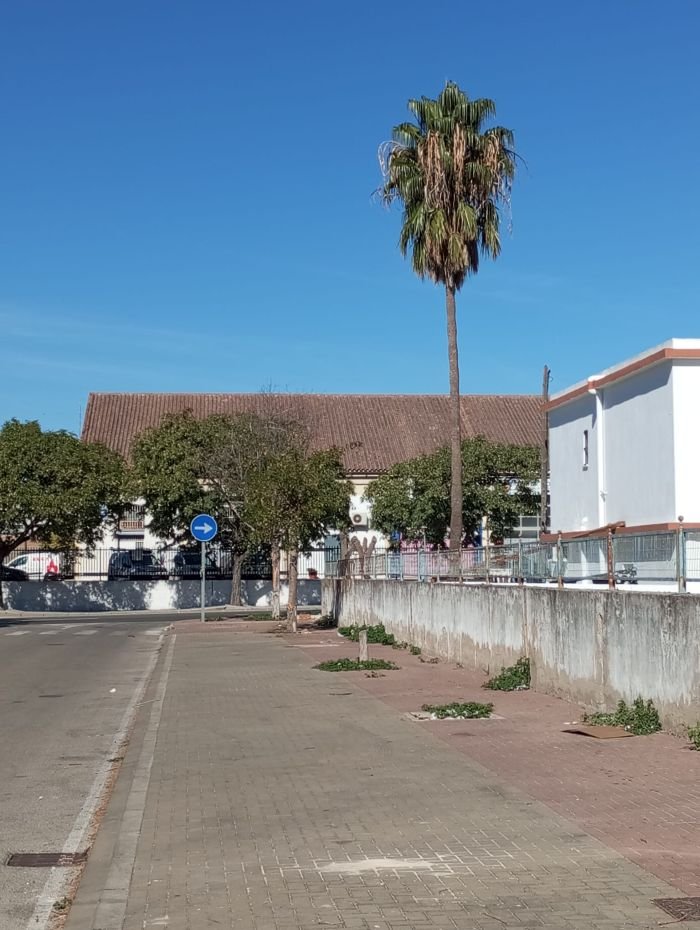 árboles Vía Herrería