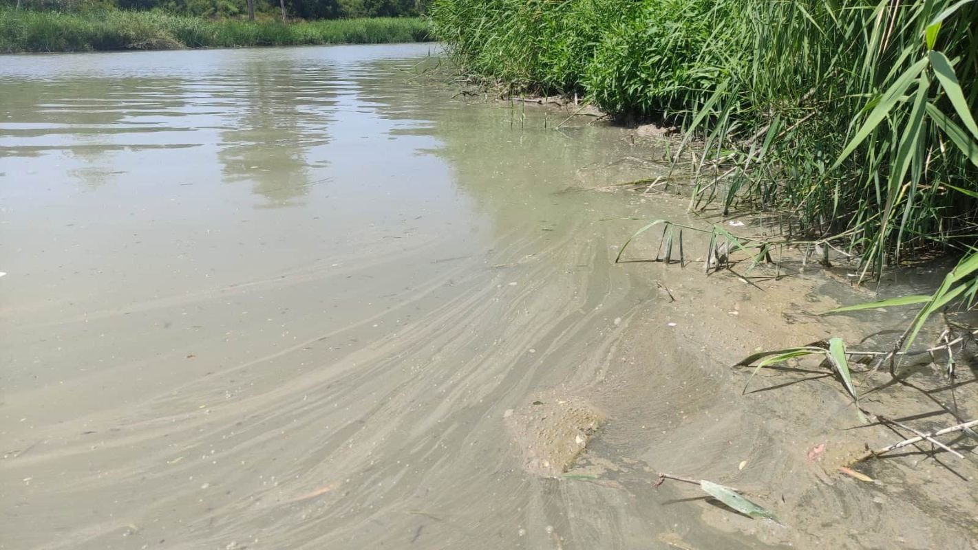 ¡Basta ya de veneno en el río!  La valiente acción de Ecologistas en Acción que destapó la contaminación del Guadalete