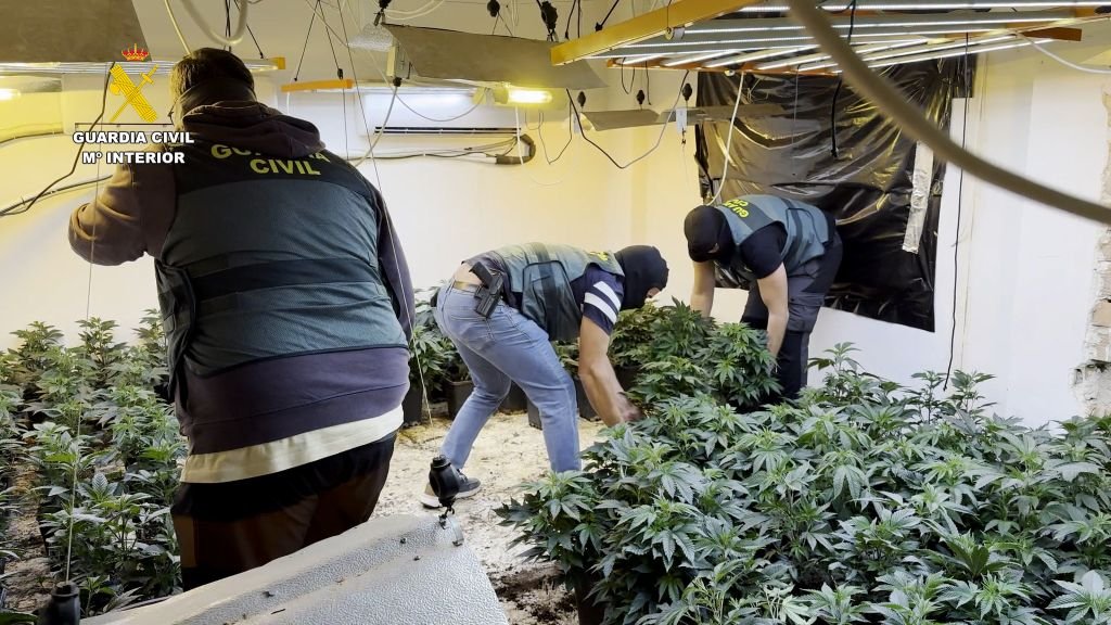 narcotráfico en Granada